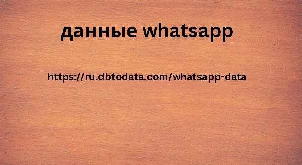 Данные WhatsApp